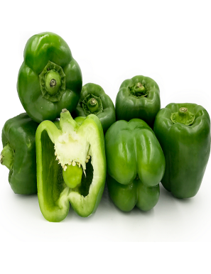 GREEN BELL PEPPERS pack of 6pcs