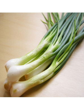 Spring Onions 4pcs