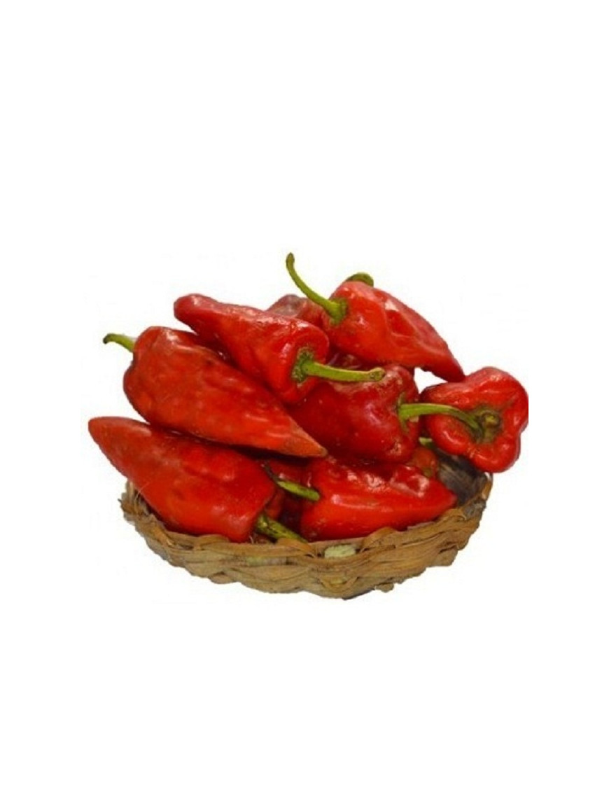 Red Bell Peppers (tatashe) pack of 6pcs