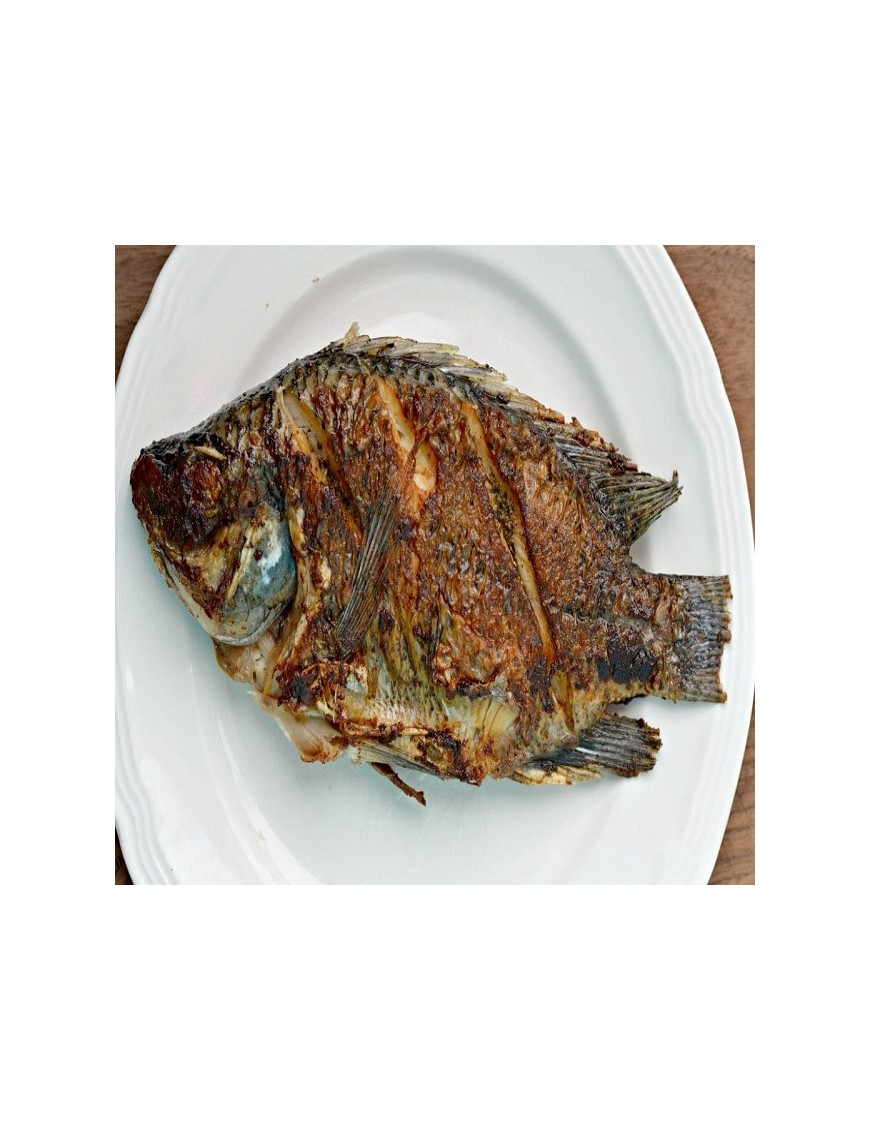 TILLAPIA FISH (WHOLE)