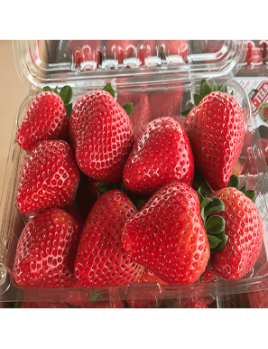 STRAWBERRY PACK OF (0.5)KG