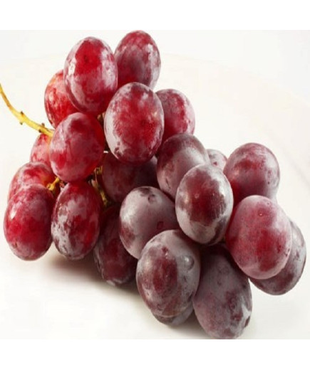 SEEDED RED GRAPE PACK OF (0.5)KG