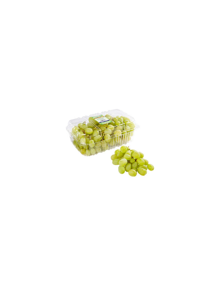 SEEDLESS GREEN GRAPES PACK OF (0.5KG)