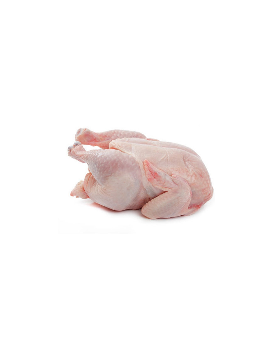 Frozen Chicken Breast per Kg